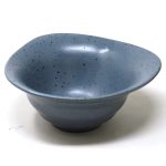 Universal Bowl By Dinex