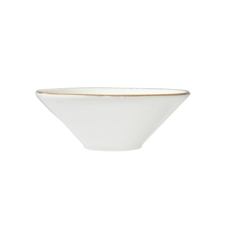 883840296 salad bowl dinex