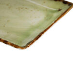 rectangular platter dinex